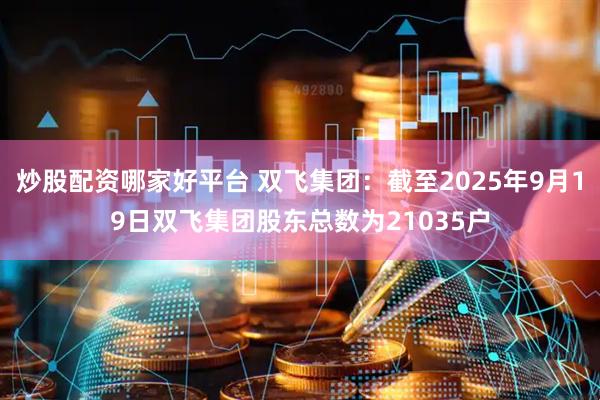 炒股配资哪家好平台 双飞集团：截至2025年9月19日双飞集团股东总数为21035户