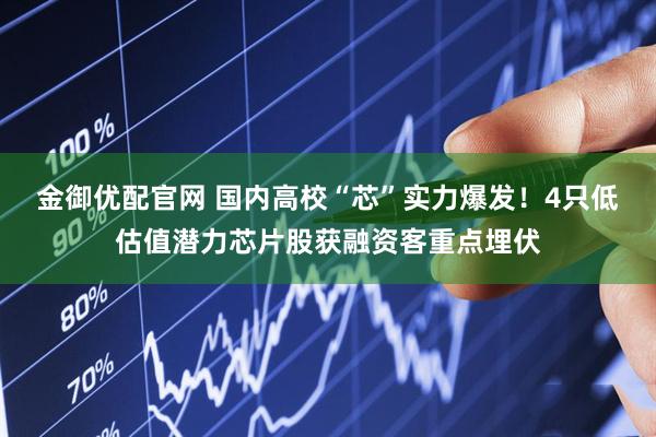 金御优配官网 国内高校“芯”实力爆发！4只低估值潜力芯片股获融资客重点埋伏
