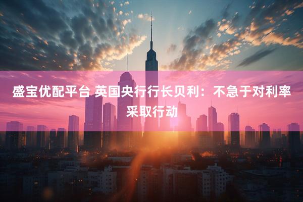 盛宝优配平台 英国央行行长贝利：不急于对利率采取行动