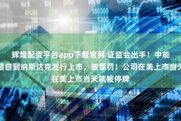 辉煌配资平台app下载官网 证监会出手！中能粮科违规擅自到纳斯达克发行上市，被重罚！公司在美上市当天就被停牌